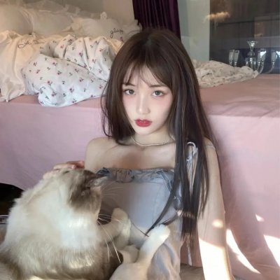 三只流浪狗